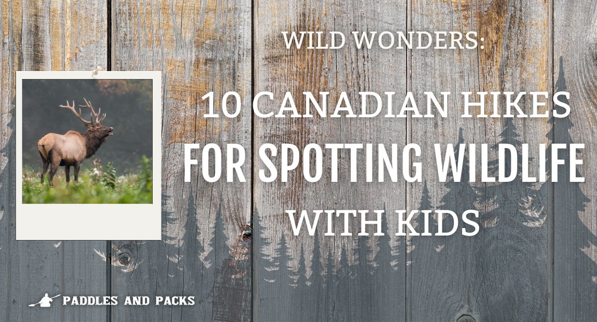 Wild Wonders: 10 Canadian Hikes for Spotting Wildlife with Kids